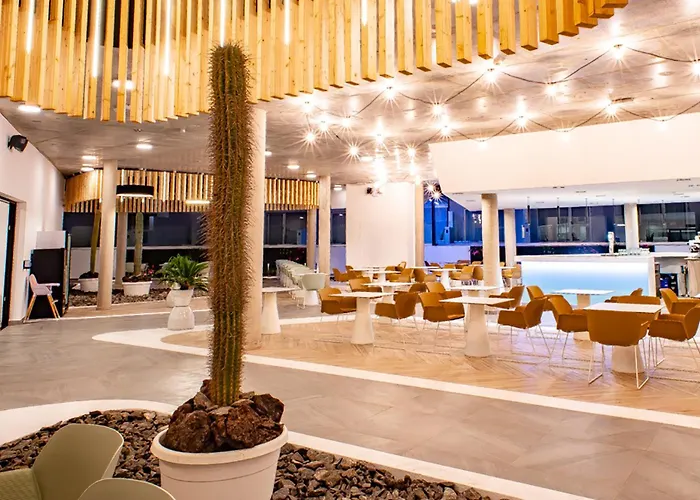 Taimar Κόστα Κάλμα