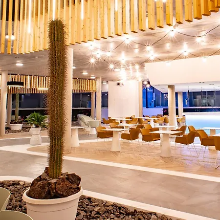 Taimar 科斯塔卡玛