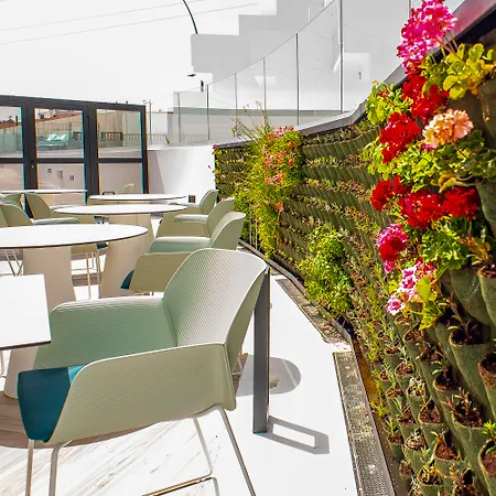 Taimar קוסטה קלמה